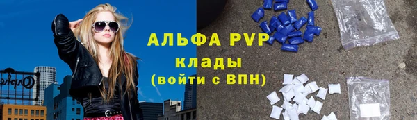 прущие грибы Алзамай