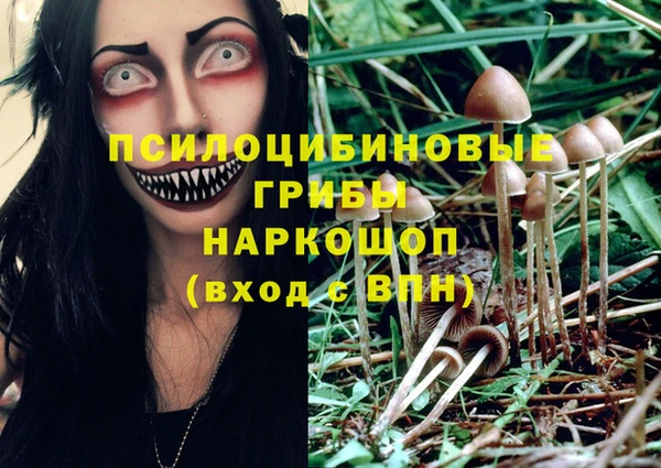 дурь Алексин