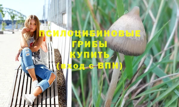 дурь Алексин