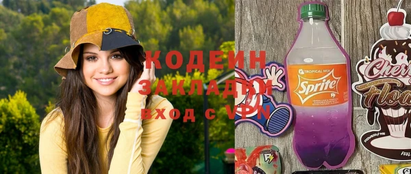 дурь Алексин