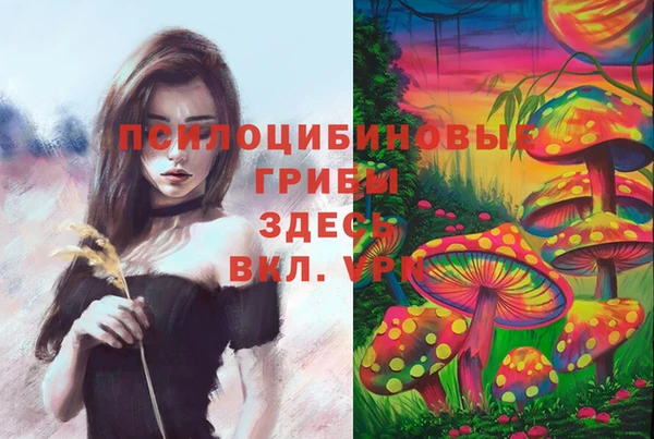 мет Алексеевка
